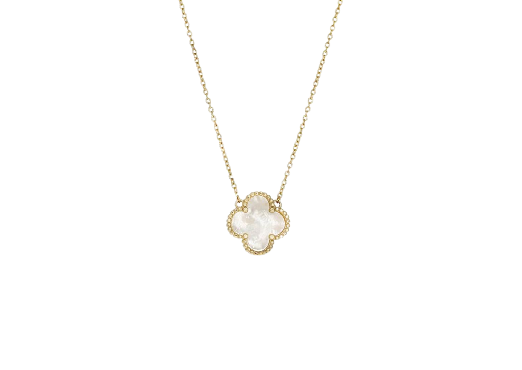 Clover blanco